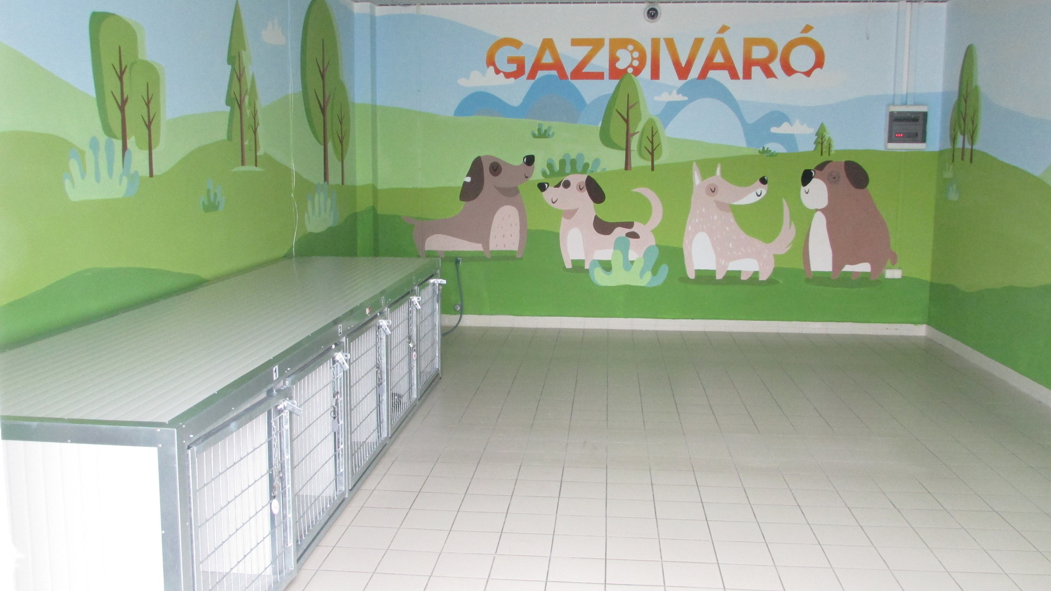 A Gazdiváró a budakalászi Auchan-ban