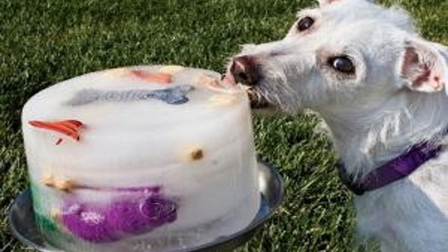 Egy lábosnyi jeges játék