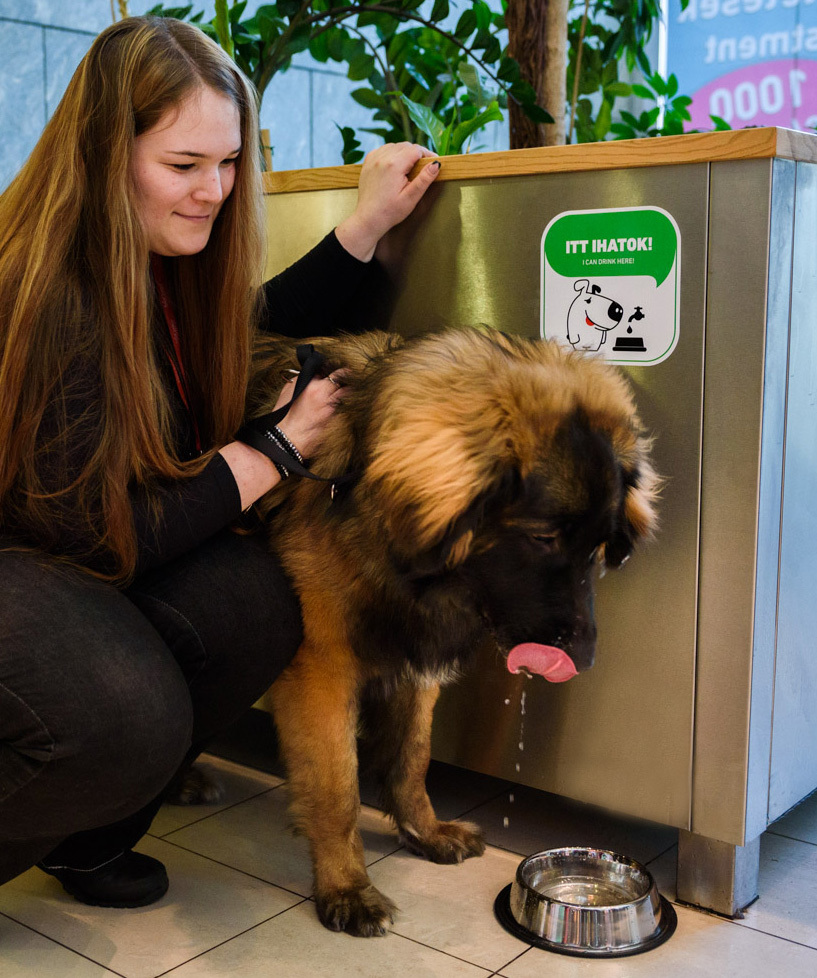 Kutyabarát AsiaCenter - 3