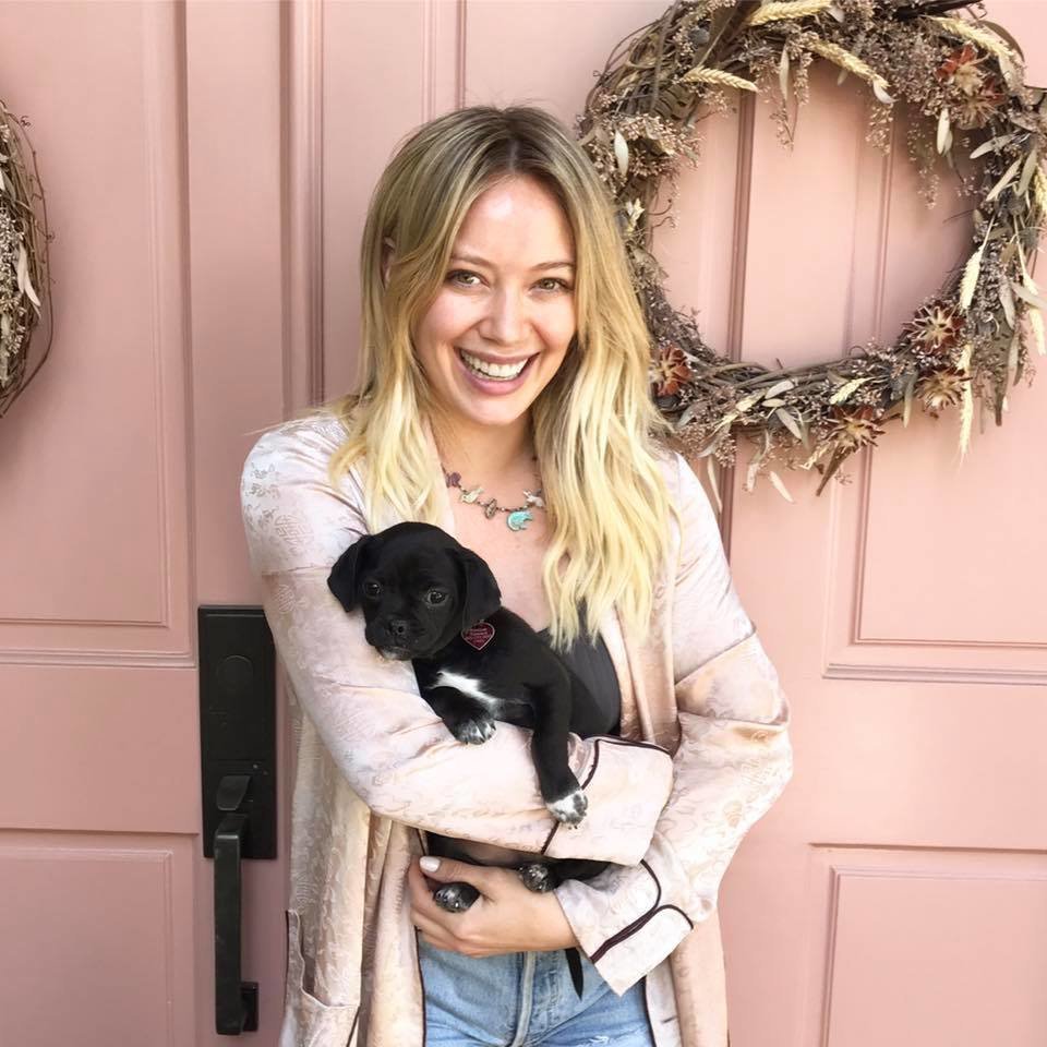 Hilary Duff és Momo, a kis fekete keverék
