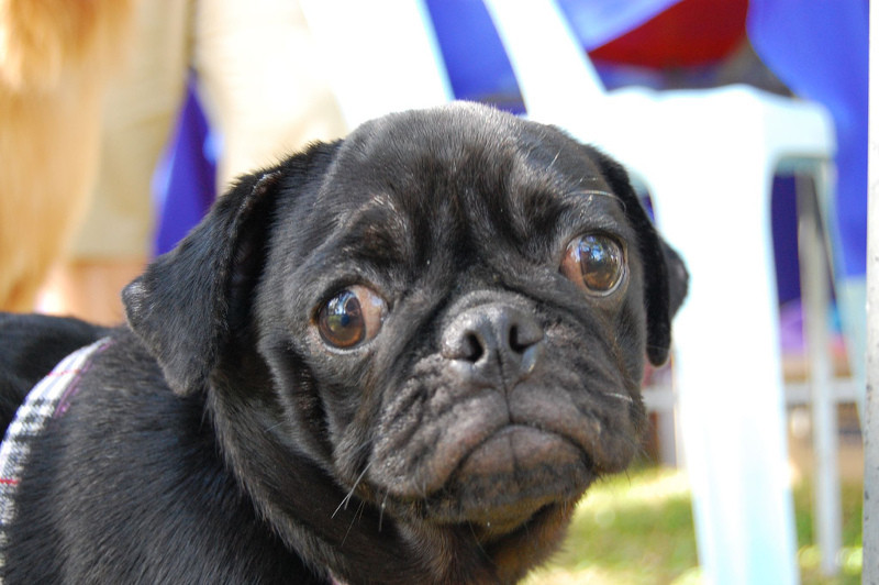 Az érzelme egyértelműen kiült az arcára is