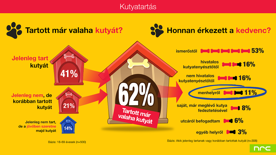 Kutyatartás - honnan?