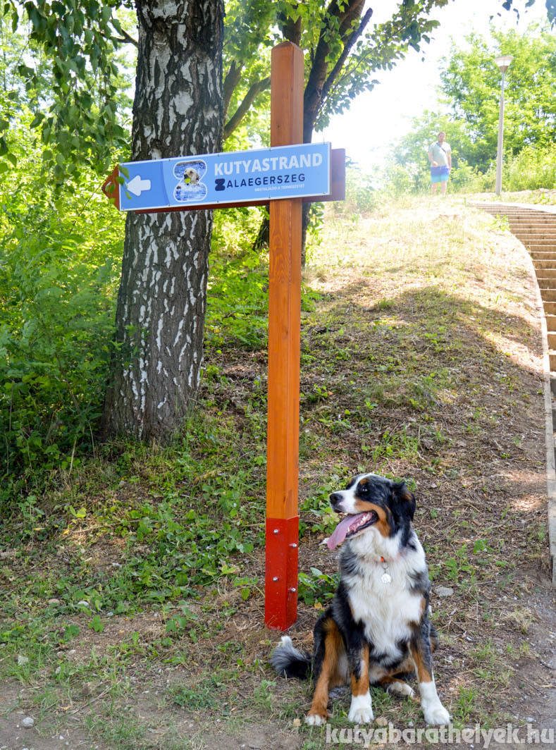 A sétányon leérve már jelzi a tábla, merre van a kutyastrand