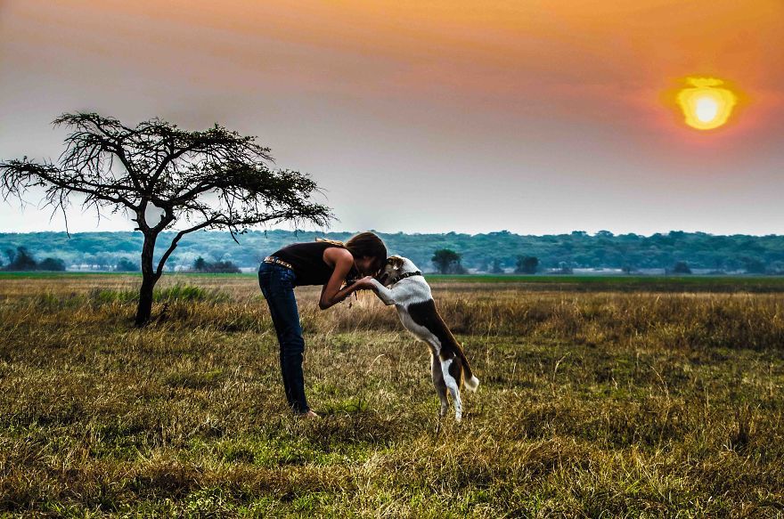 A bántalmazott kutya újra megtanult bízni az emberekben A bántalmazott kutya újra megtanult bízni az emberekben