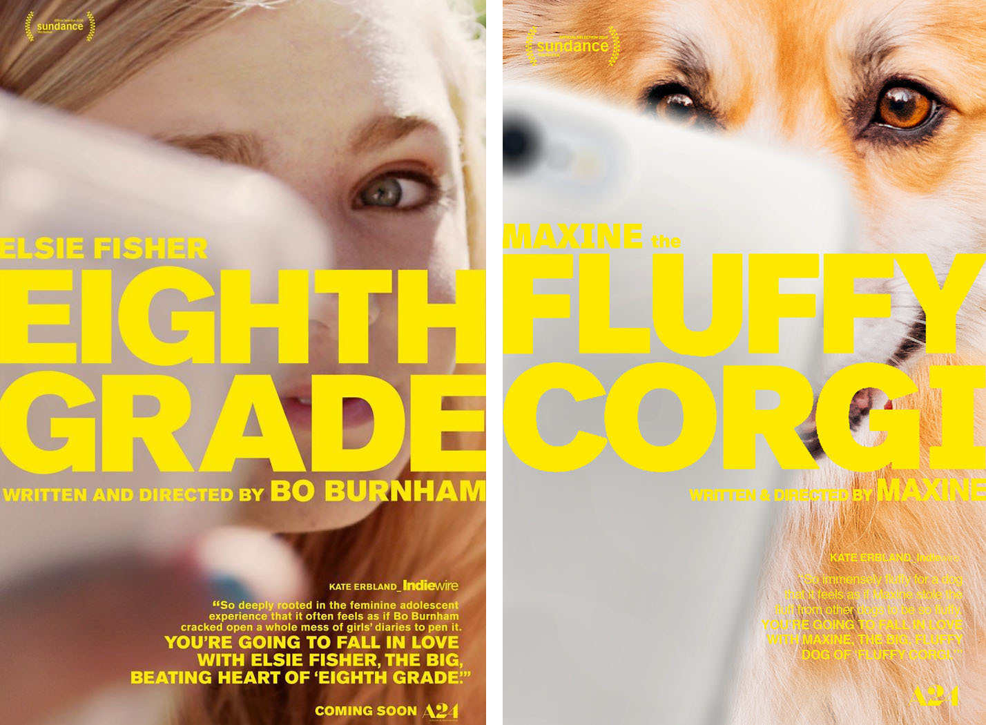 Eighth Grade - Fluffy Corgi Eighth Grade - Fluffy Corgi