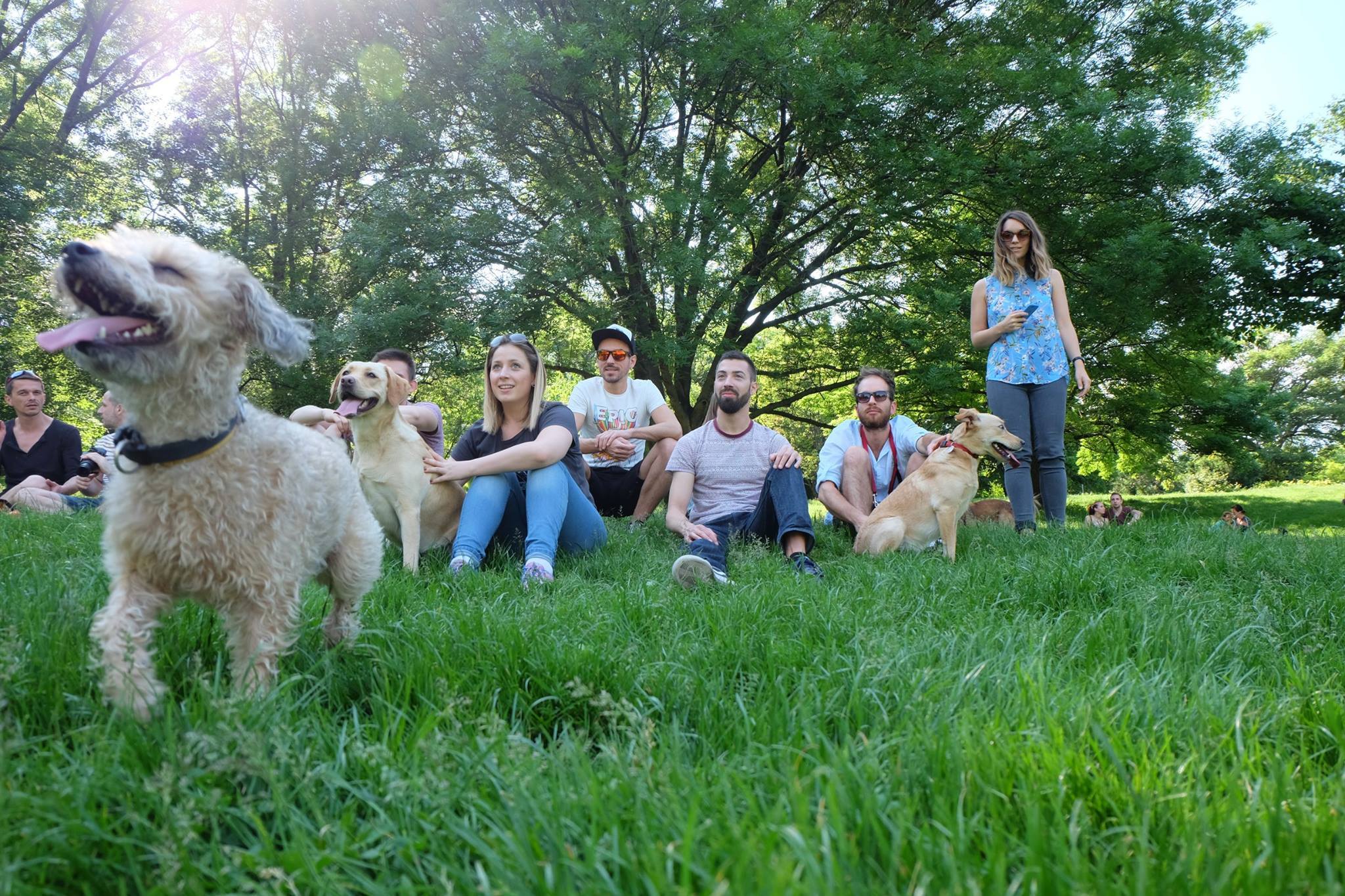 Az első két sétára kutyások és kutyátlanok is érkeztek