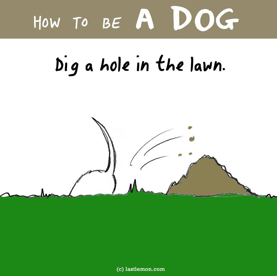 Áss lyukat a kertben! Áss lyukat a kertben!