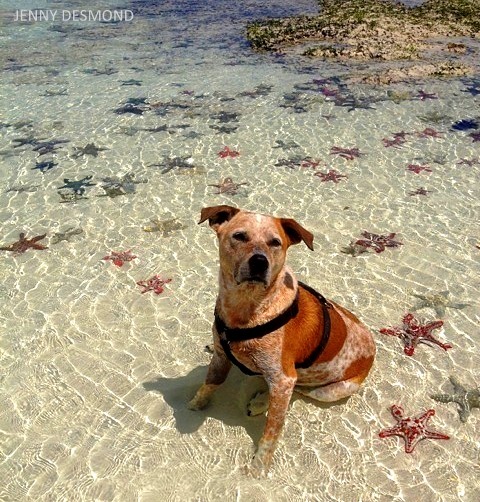 Princess a tengerparton