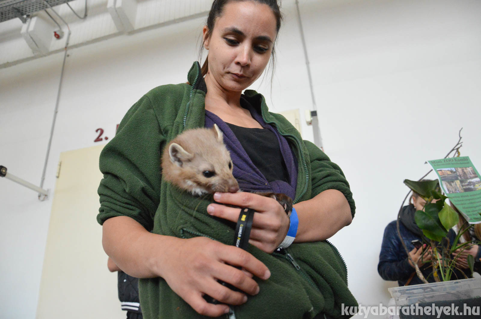 Nem csak kutyákkal találkozhattunk...