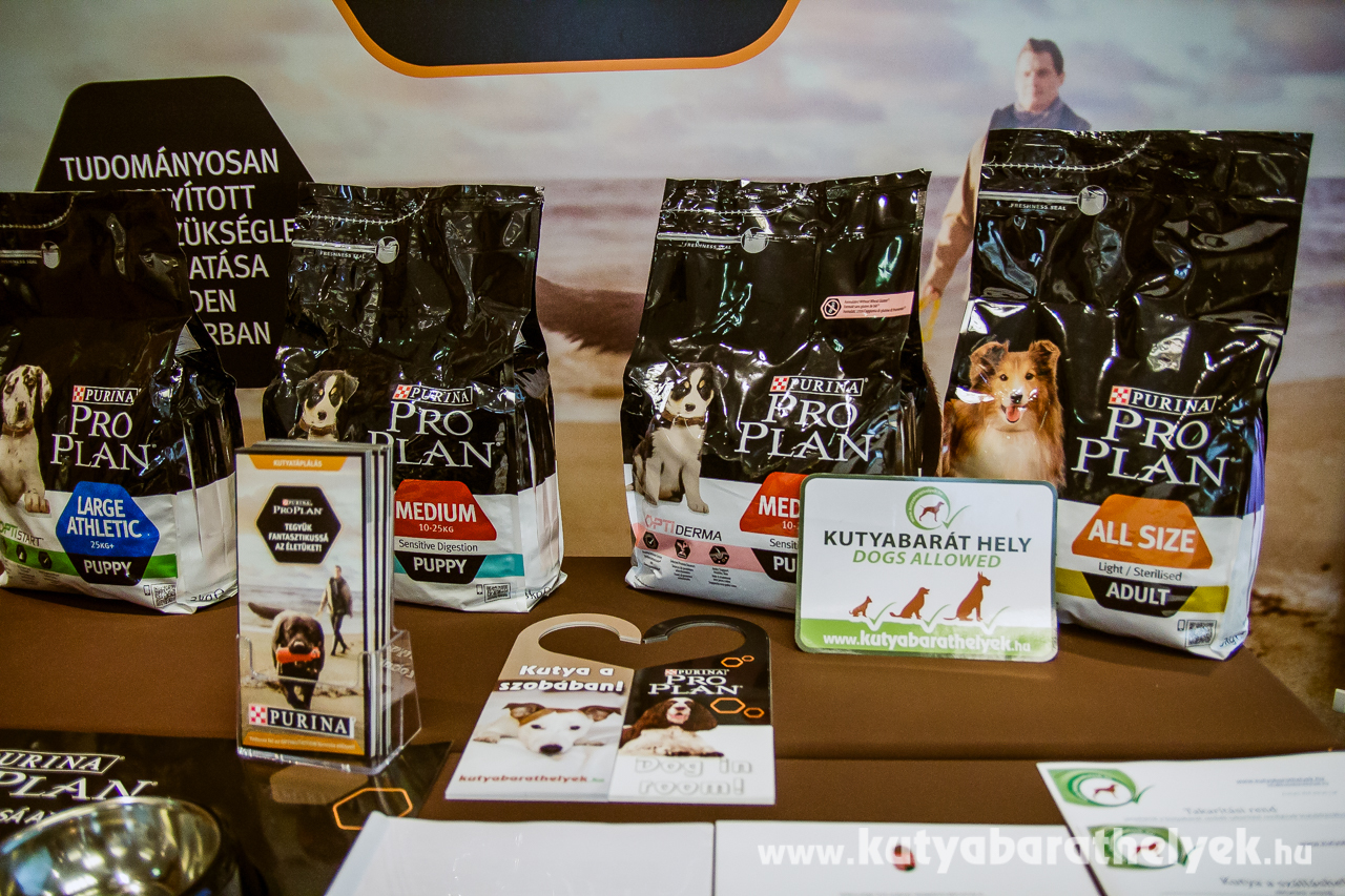 Induló csomag a kutyabarát szállások számára