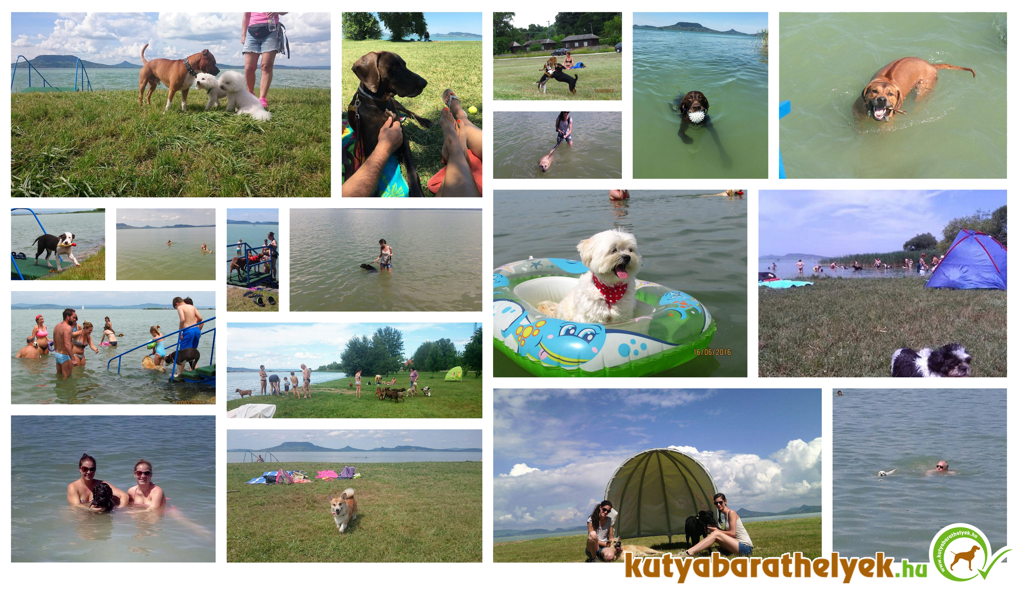 Ti küldtétek - Így élvezitek Ti kutyáitokkal a Fonyódi Kutyabarát Strandot!