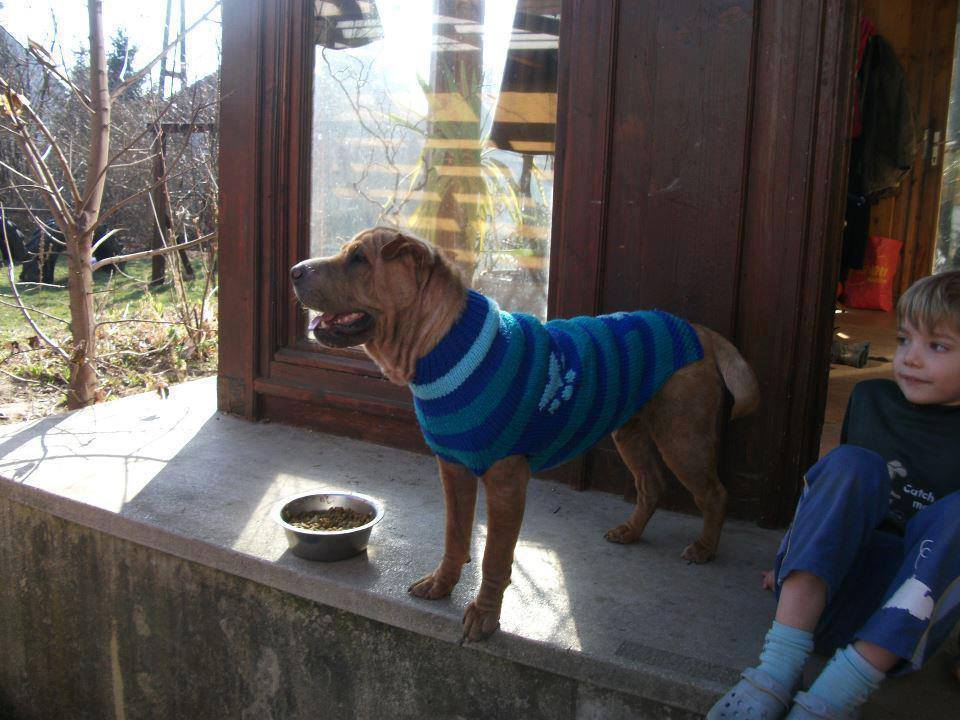 Nem csak a kicsiknek esik jól a pulcsi melengetése