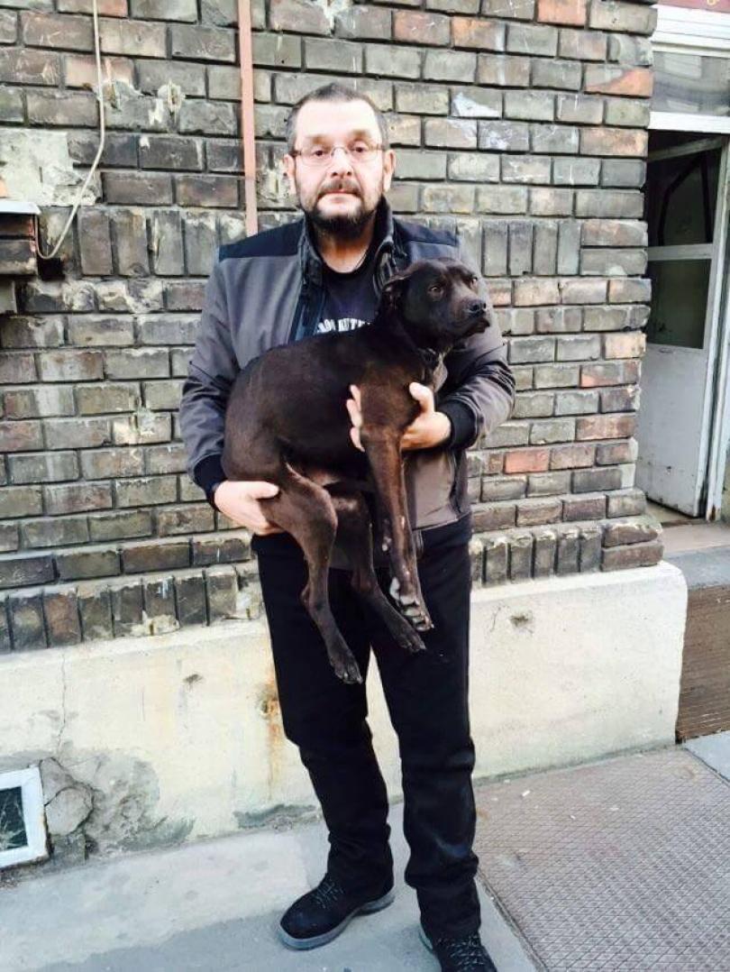 Joó István állatmentő