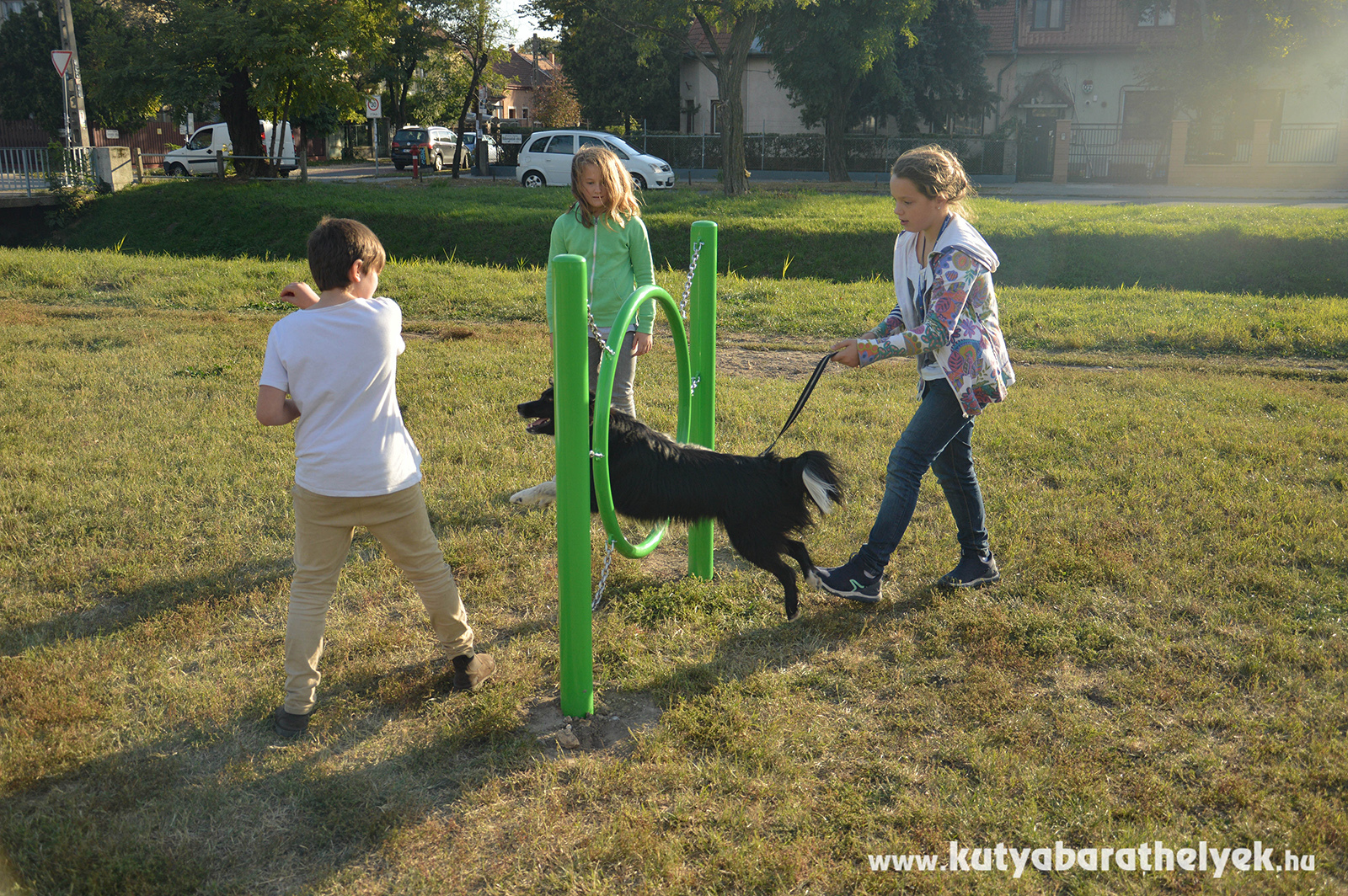 Lucky kutya is örült az új játékoknak, amit ki is próbált kis gazdáival