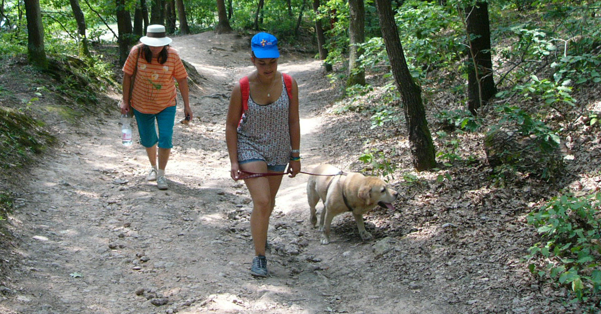 Kirándulás kutyával - a legjobb nyaralás