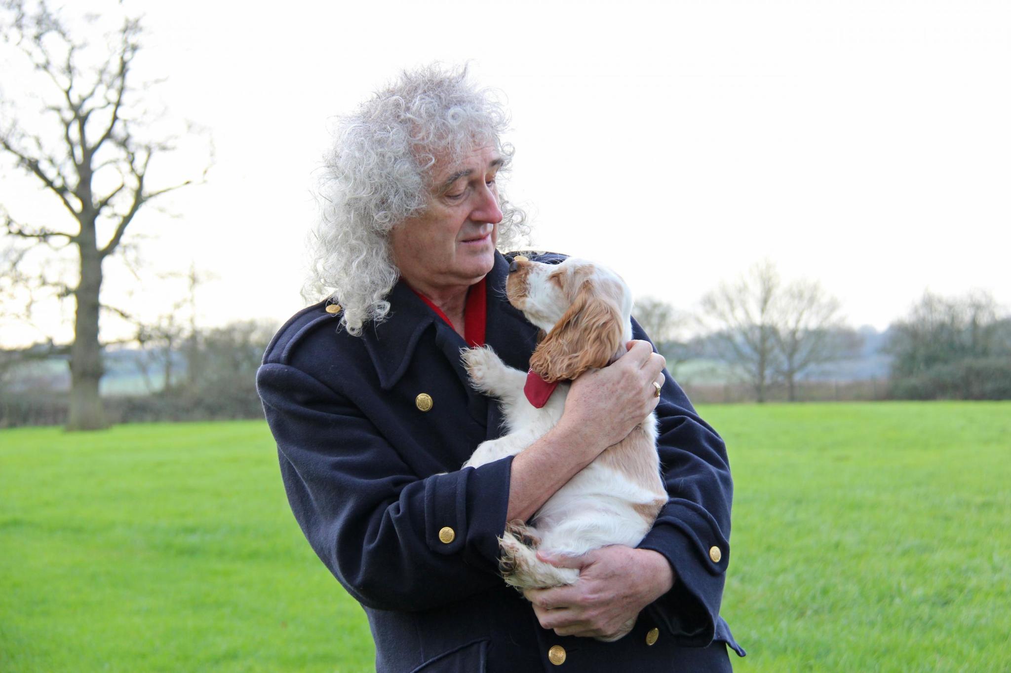 A kis Ralph összebarátkozott Brian May-el