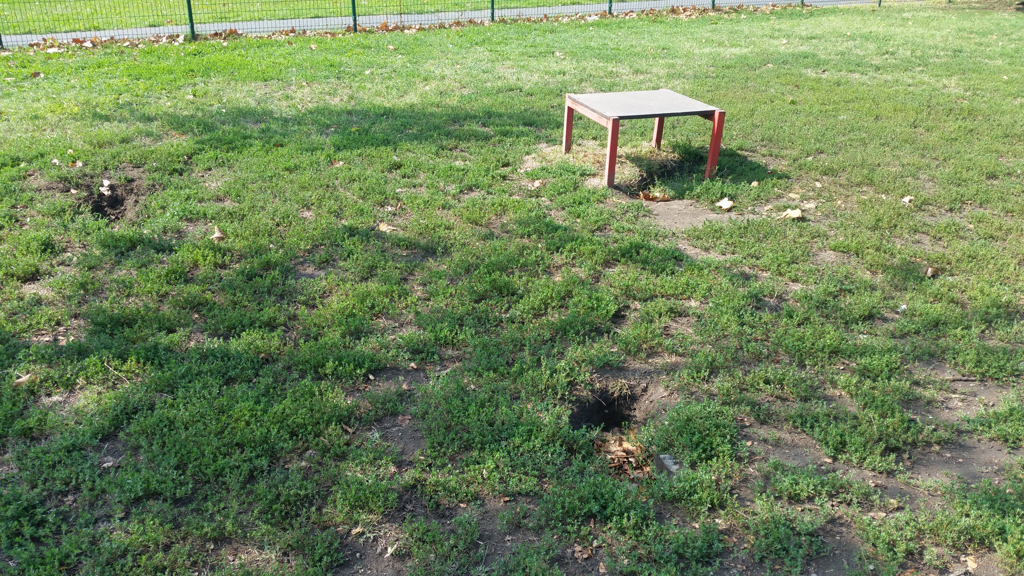 Gödrökkel tűzdelt kutyafuttató: gazdára és kutyára is veszélyes