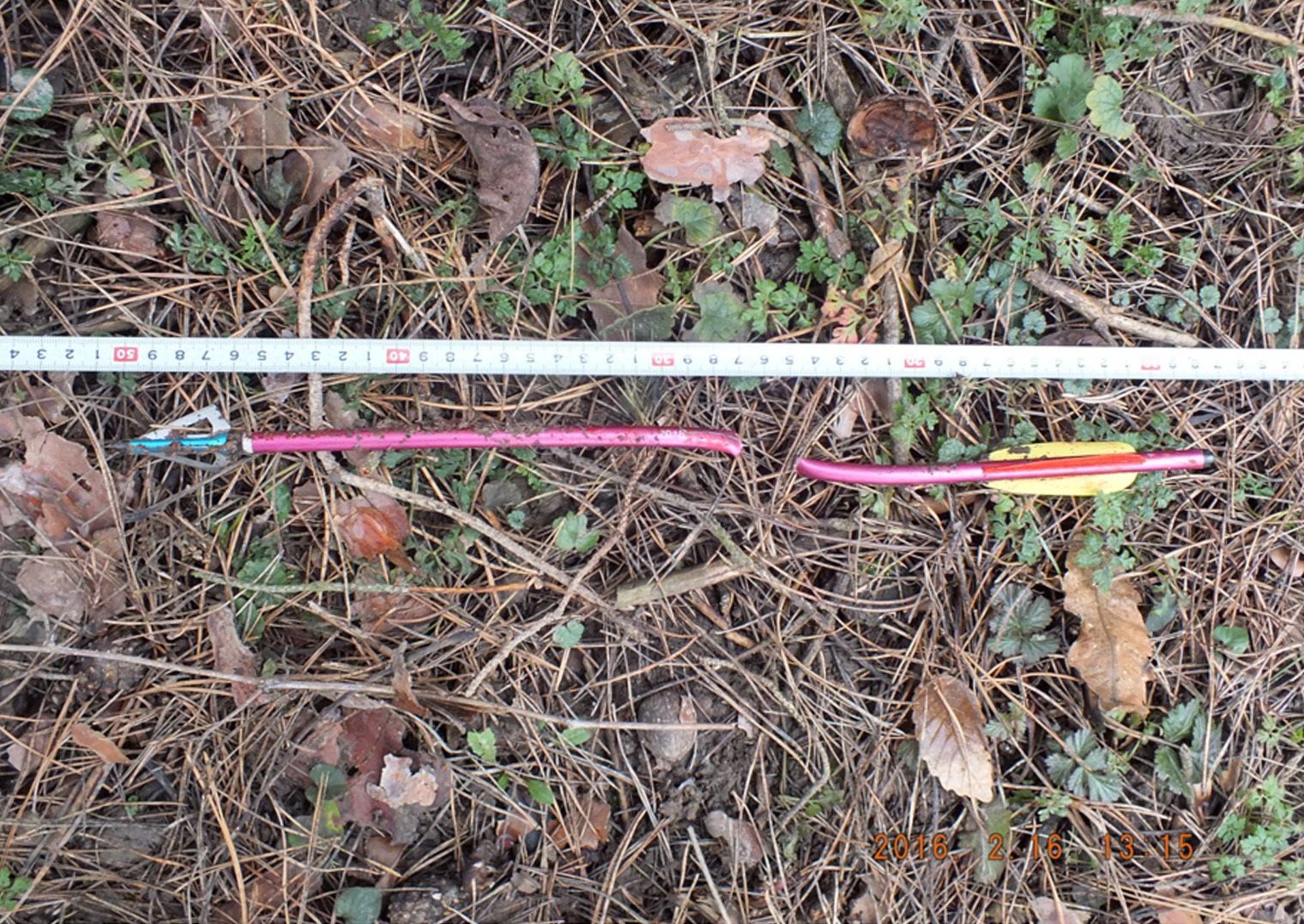 A fegyver, ami végzett a kutyával