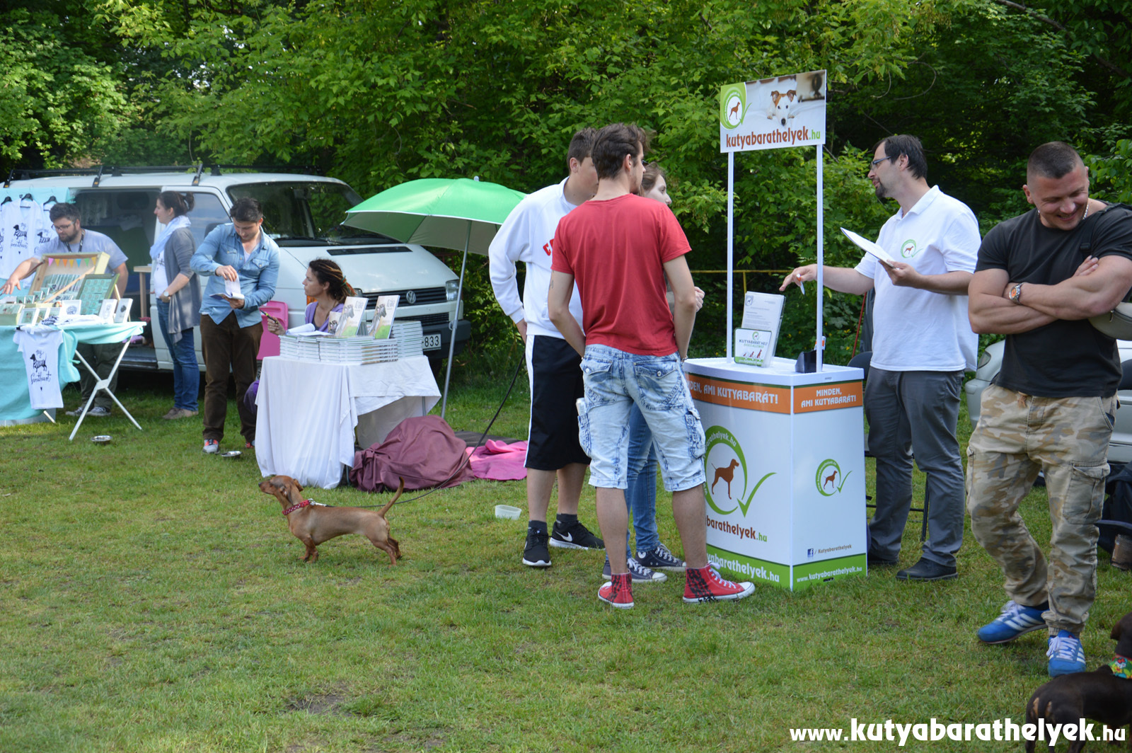 Színes programok, vásár, édesség és hasznos tanácsok - ez várta a látogatókat. Mi is ott voltunk!