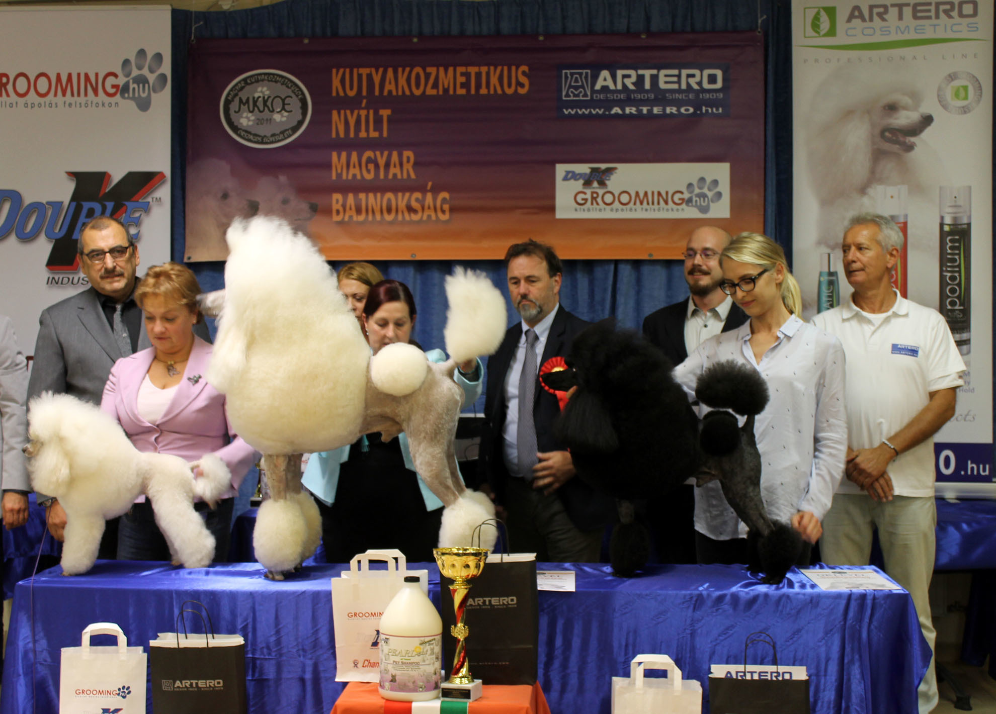 Az uszkárok legjobb kutyakozmetikusai