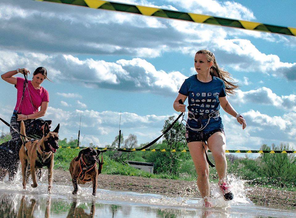 Minden kutyának kötelező a hám, a gaziknak pedig vagy beülő, vagy futóöv. Kettejüket lehetőleg rugalmas szár kösse össze!