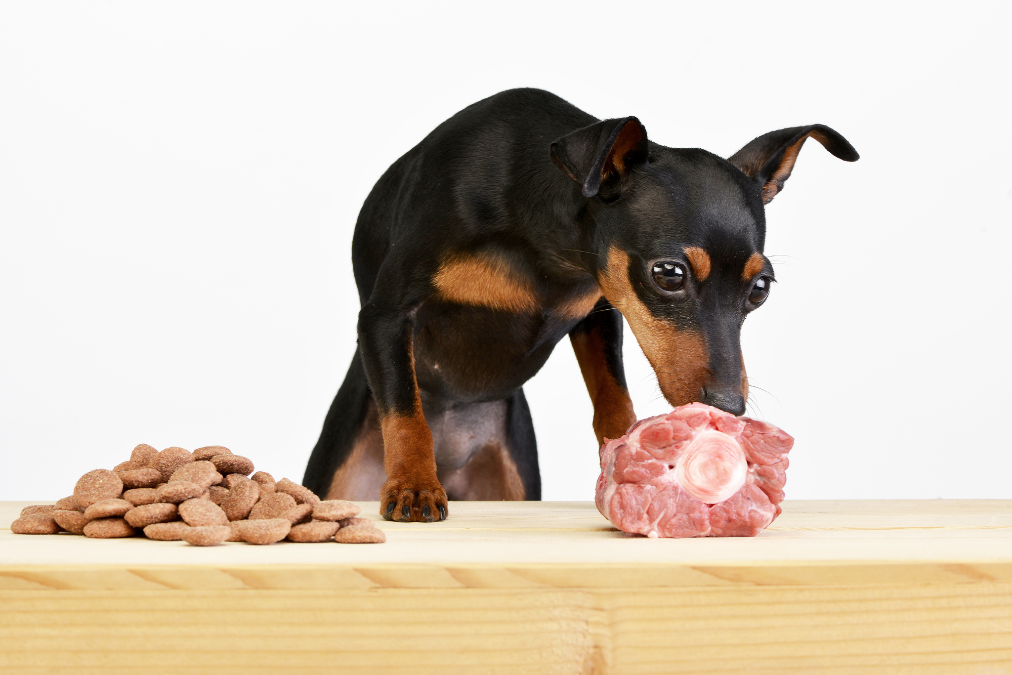 Csipet is inkább a nyers kosztot választja. Imádja!