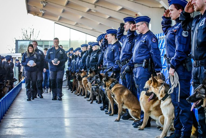 Kutyás rendőrök álltak díszsorfalat a rendőrkutyák temetésén