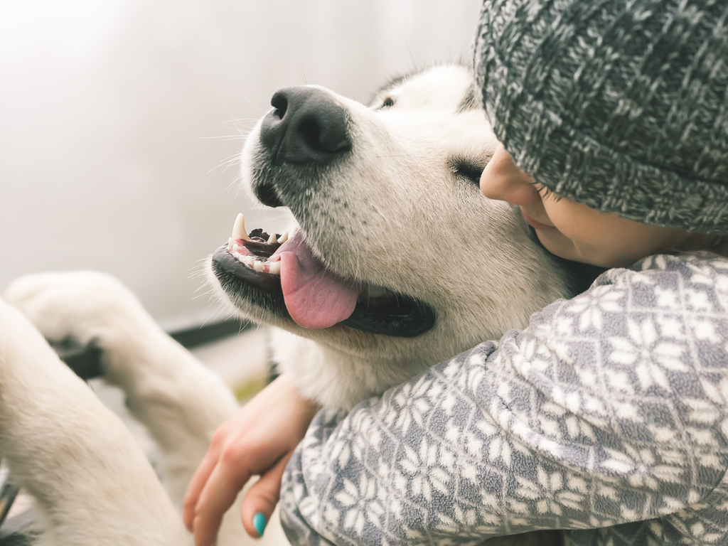 Újévi fogadalmak kutyásoknak - Szeress feltételek nélkül!