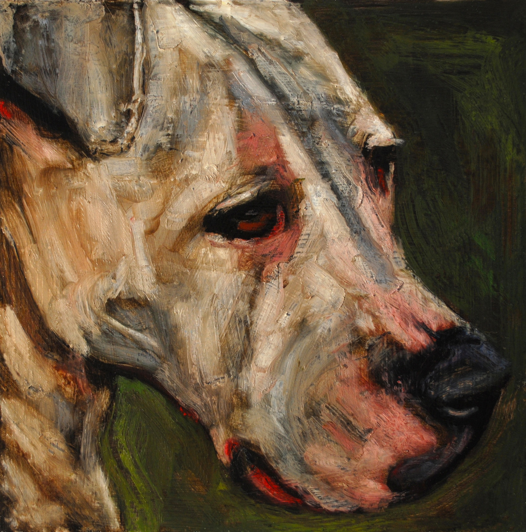 Isis Daisy portréja