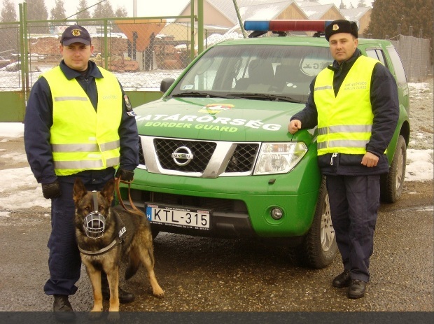 Már megvan Balu utódja, akit maga a négylábú fog betanítani