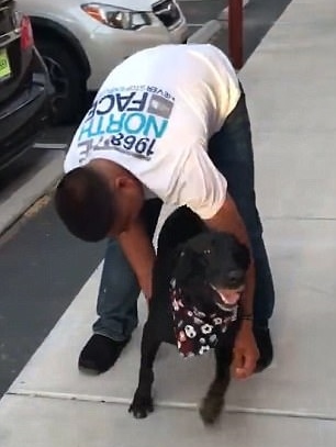 Katona és kutyája - A találkozás örömteli pillanatai