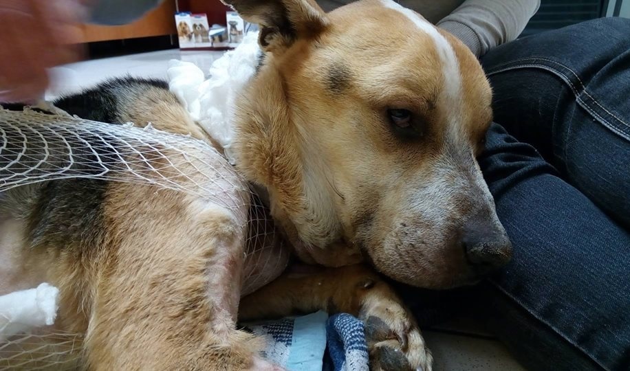 Fülöp egy kicsivel jobban érzi magát