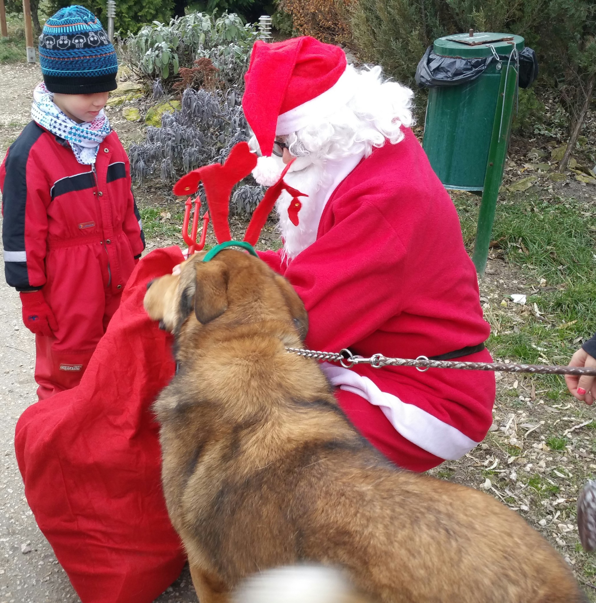 Mit hozott a Mikulás?