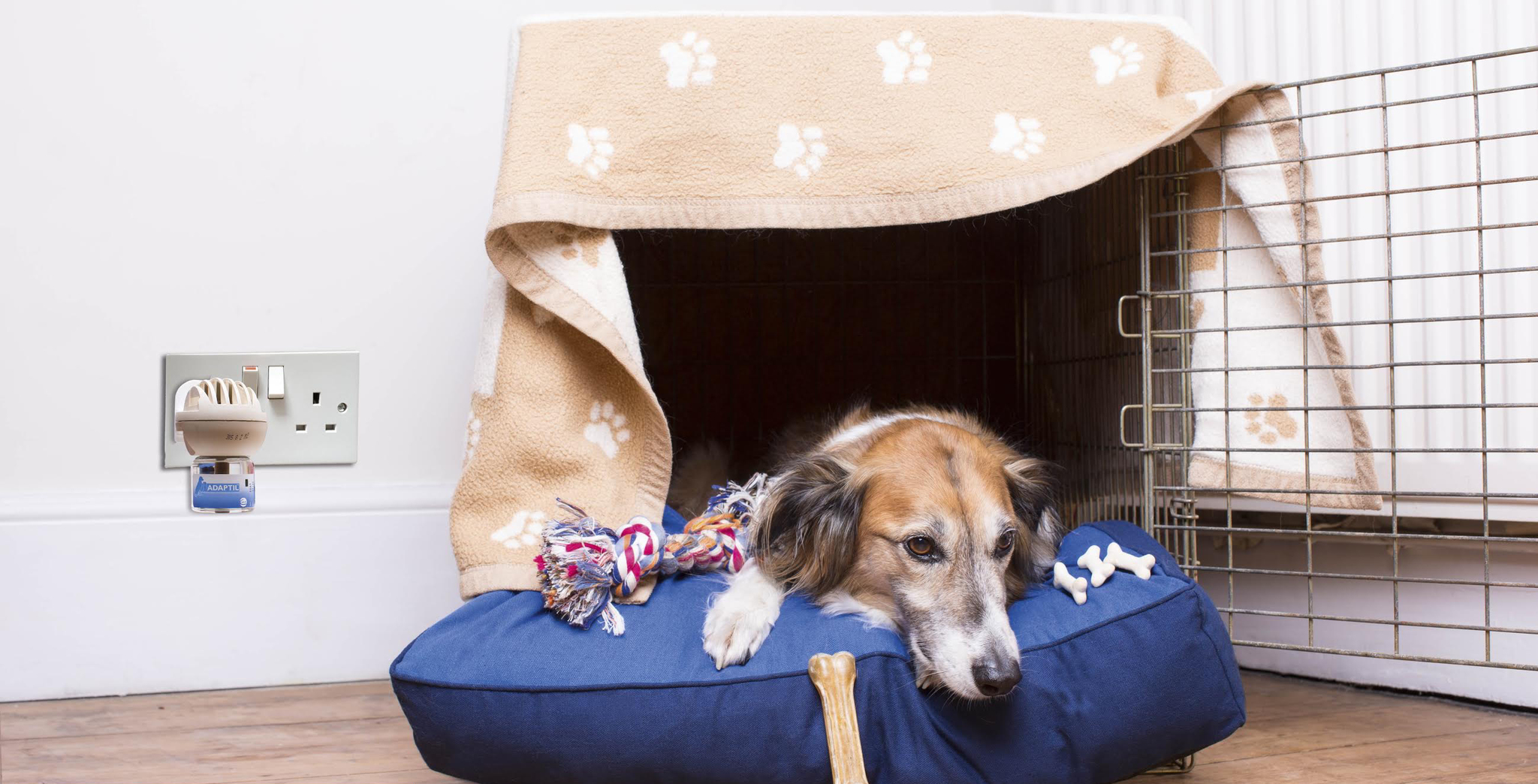 A természetes nyugtatók, a gyógynövényeket tartalmazó készítmények hatásosan segítenek legyőzni a félelmet - akár párologtató formájában is!