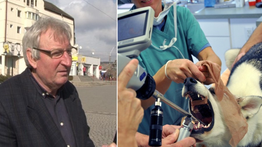 A romániai városban előírnák a kutyák hangszálainak átvágását