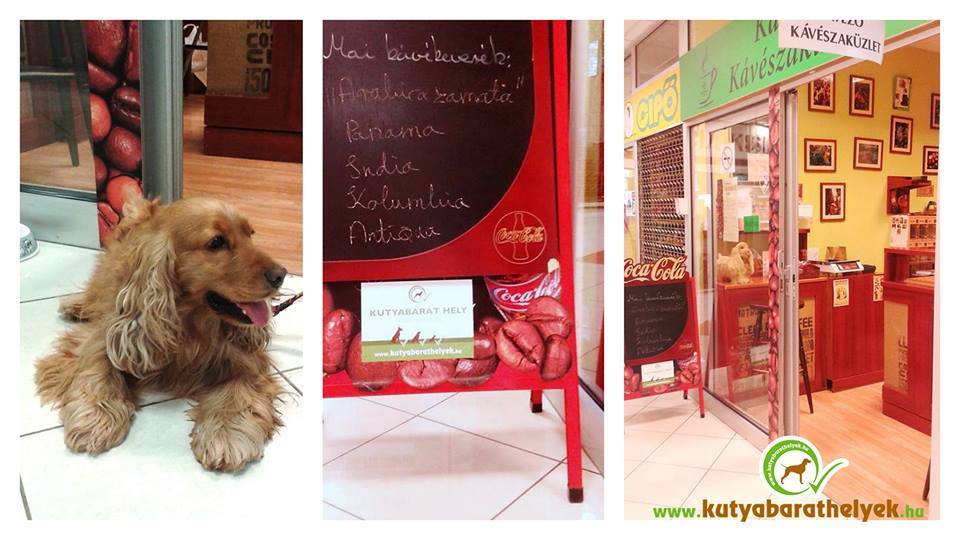 A Semiramis kávézó is kutyabarát hely!