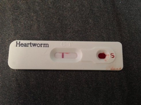 Időben végezzük el a tesztet!