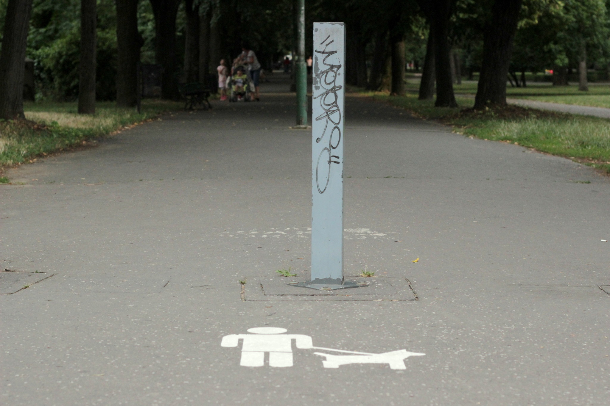 A Táncsics sétányon is csak pórázon lehet sétálni a kutyával