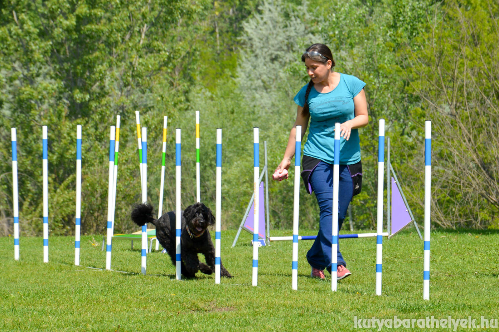 Agility bemutató is kísérte a jeles napot