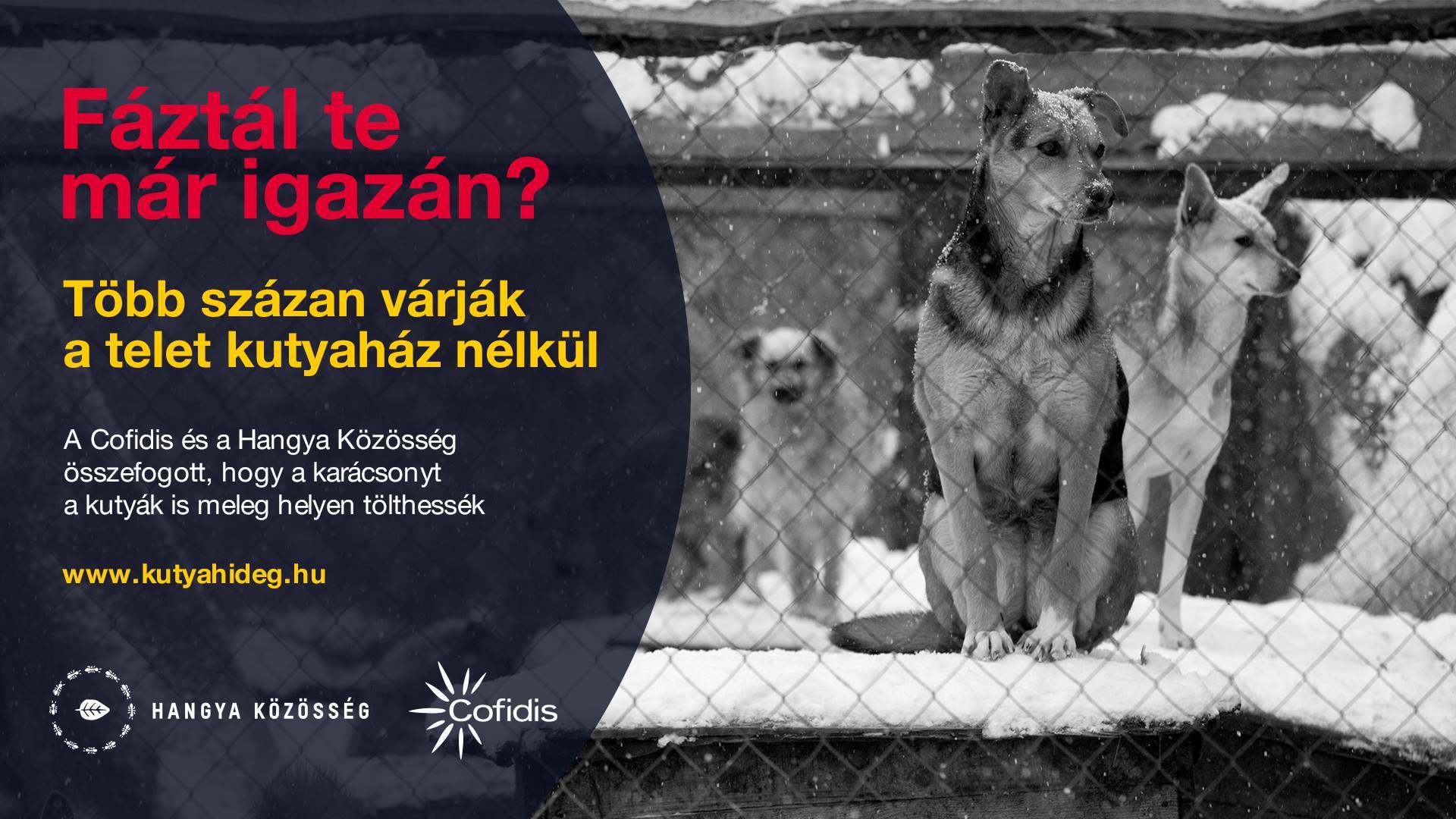 Fáztál te már igazán?