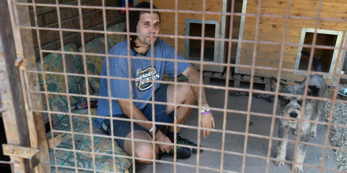 Egy hét a kutya szemszögéből