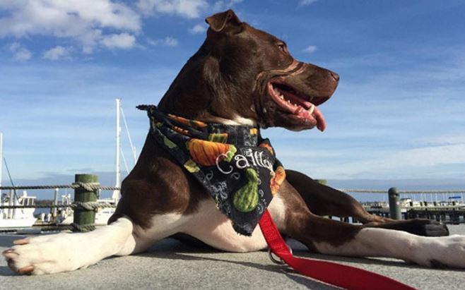 Caitlyn már szerető családnál él - de a nyomokat kívül és a lelkében is viselni fogja