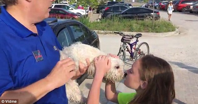 Nagy szerencséje volt a kutyának!