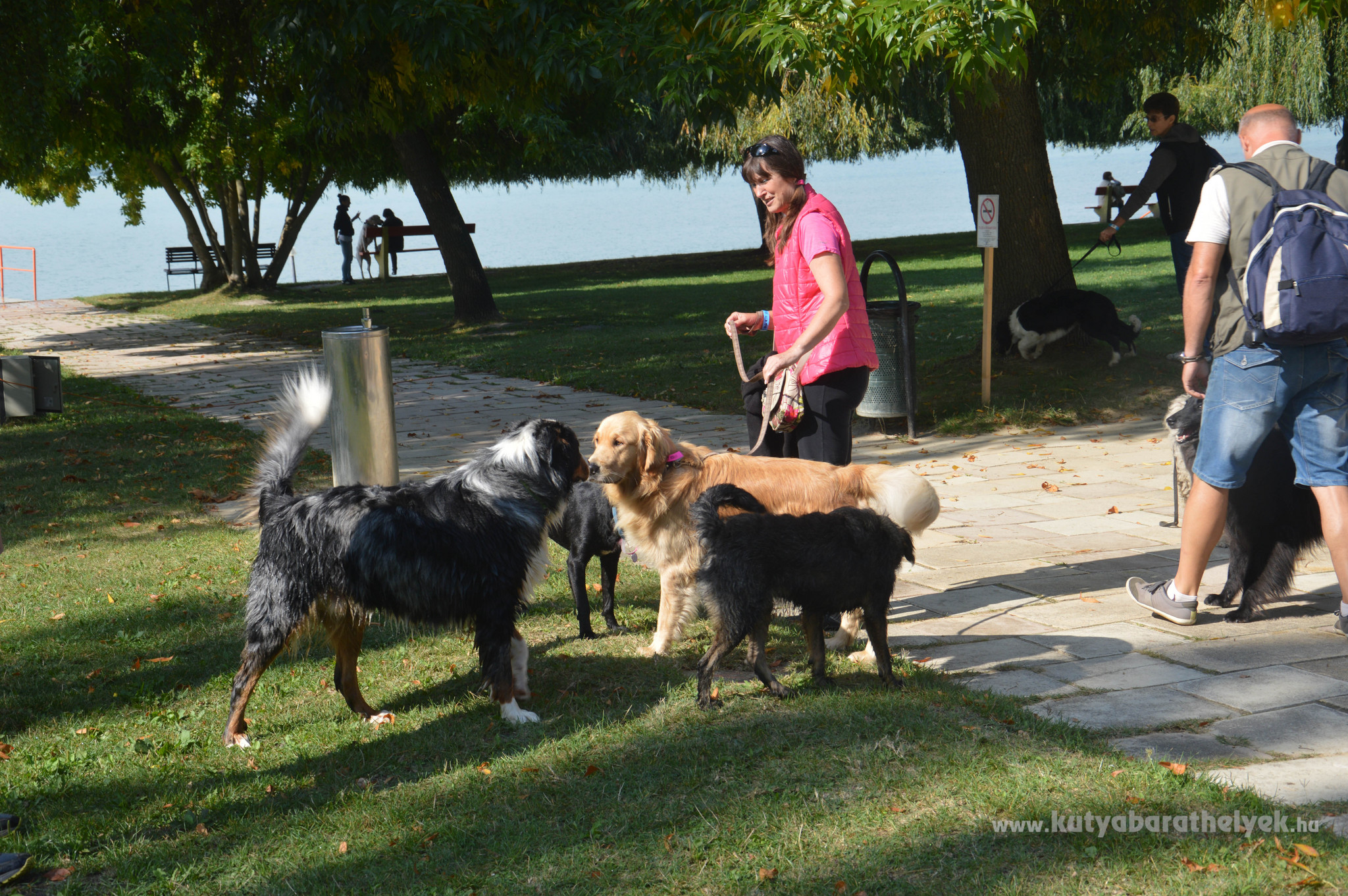 Ismerkedés a FALKAstrandon