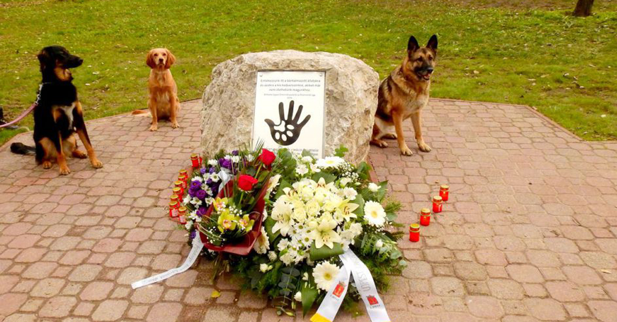 A bántalmazott állatok emlékműve A bántalmazott állatok emlékműve