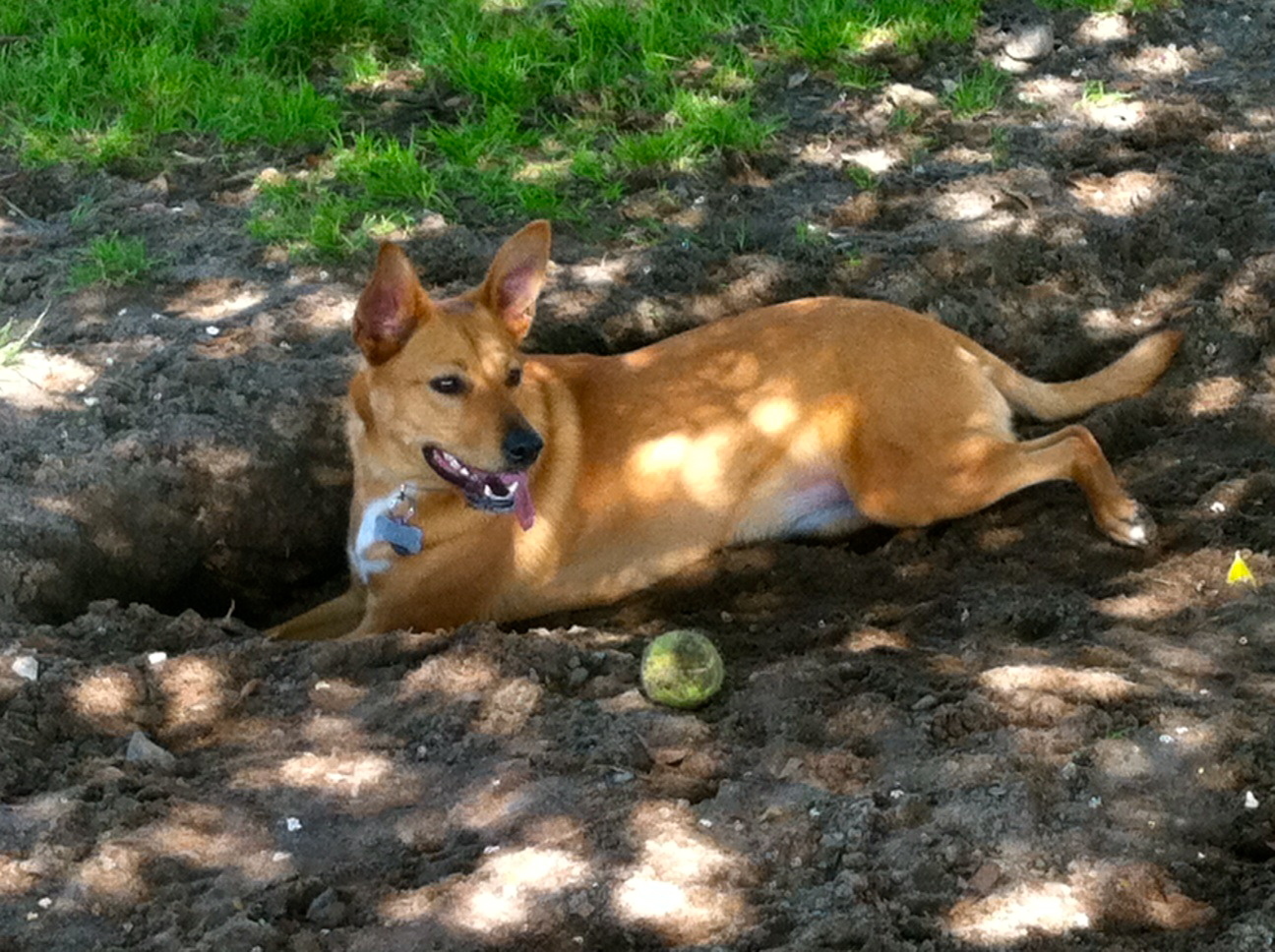 Így jobban bírni a nagy meleget...