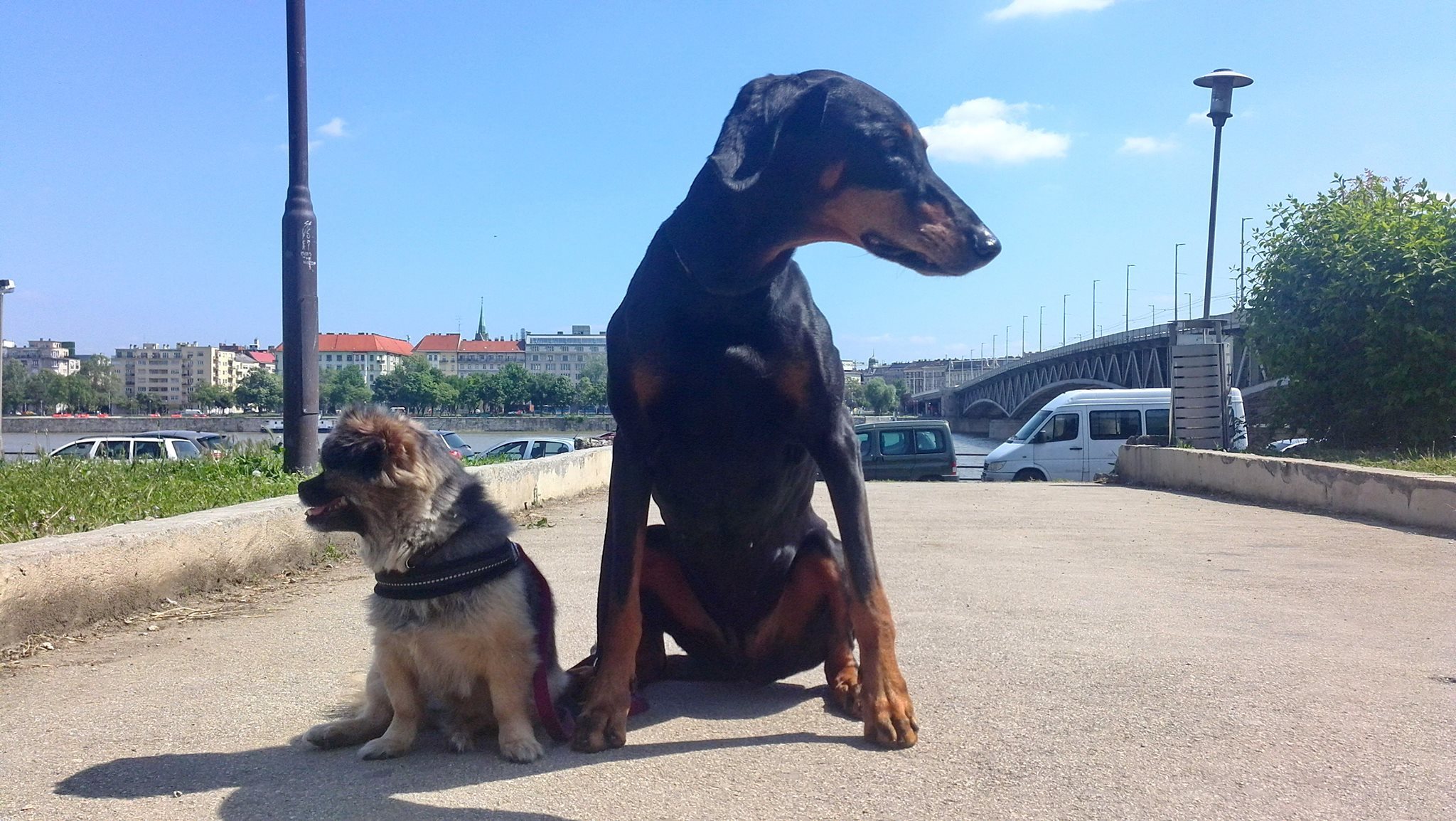 Módszerek jobbra, módszerek balra. De mi illik hozzám?