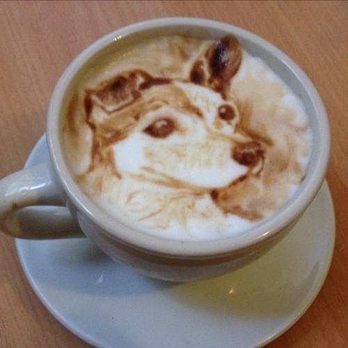 Mint egy fénykép...