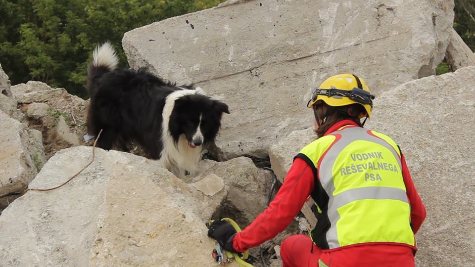 Valósághű sziuációkkal találkoztak a mentőkutyák
