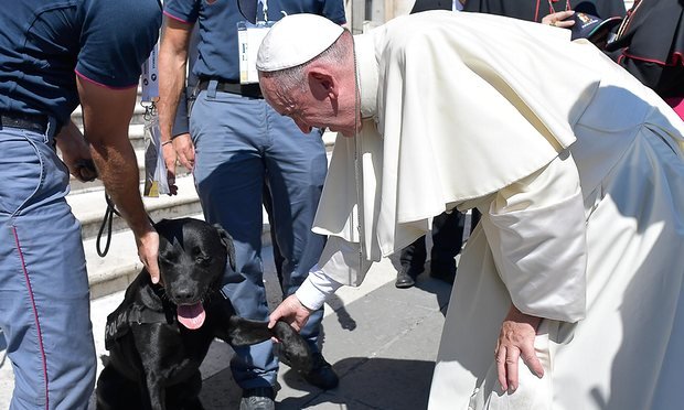 Ferenc pápa és Leo, a mentőkutya